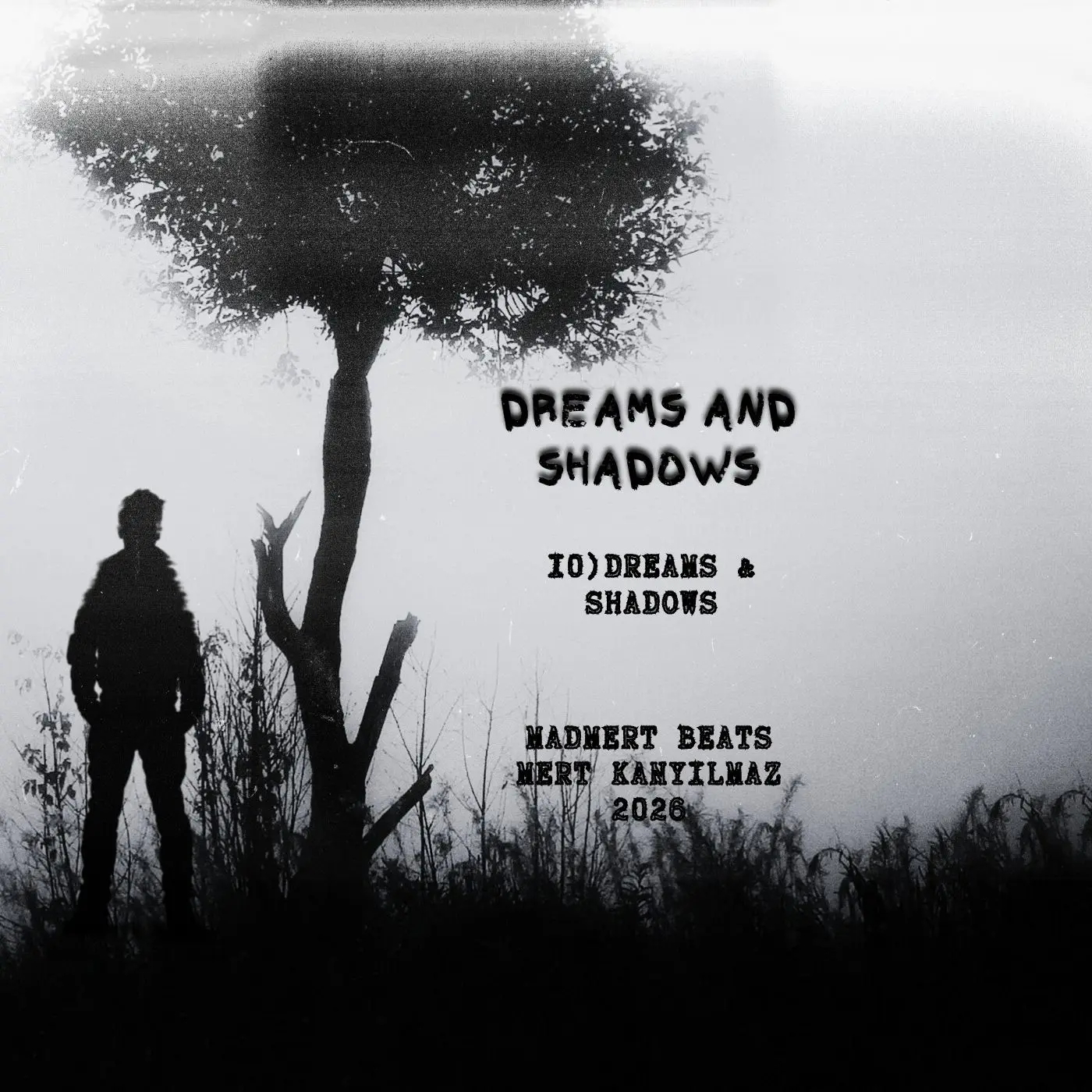 "DREAMS & SHADOWS"Boom Bap Type Beat - Boom Bap beat kapağı - MadMert Beats